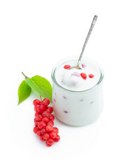 Homemade yogurt with Schisandra berry in glass jar isolated on white