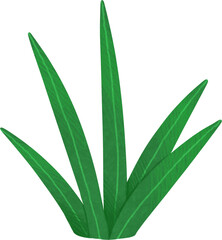 Green tropical plant bushes. Hand drawn illustration 