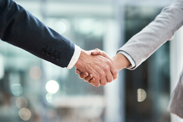 Employees, shaking hands and thank you for hiring in office, meeting and teamwork partnership. Business people, solidarity and support or b2b collaboration, agreement and hello greeting at interview