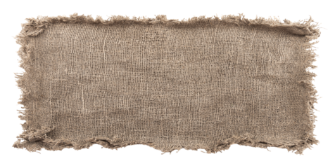 Burlap texture. A piece of torn burlap on a white background. Canvas. Packing material