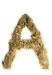 Creative typography made with real dog hair. Blonde hair on white background Dogs, cats, pets, monsters and other furry animals. Complete alphabet. Letter A