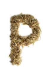 Creative typography made with real dog hair. Blonde hair on white background Dogs, cats, pets, monsters and other furry animals. Complete alphabet. Letter P