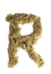 Creative typography made with real dog hair. Blonde hair on white background Dogs, cats, pets, monsters and other furry animals. Complete alphabet. Letter R