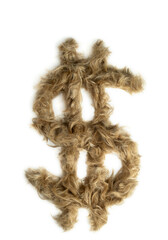 Creative typography made with real dog hair. Blonde hair on white background Dogs, cats, pets, monsters and other furry animals. Complete alphabet. dollar sign