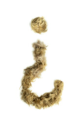 Creative typography made with real dog hair. Blonde hair on white background Dogs, cats, pets, monsters and other furry animals. Complete alphabet. inverted exclamation mark