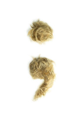 Creative typography made with real dog hair. Blonde hair on white background Dogs, cats, pets, monsters and other furry animals. Complete alphabet. Semicolon