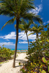 Krajobraz morski, tropikalna piaszczysta plaża, widok na horyzont, wakacje i wypoczynek w słoneczny dzień, linia brzegowa nad oceanem, tapeta, egzotyczne tło, Kuba © anettastar