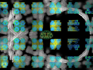 Imaginatory fractal abstract background Image