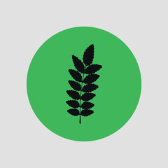 Green flat eco icon with a forest plant. Vector on a gray background
