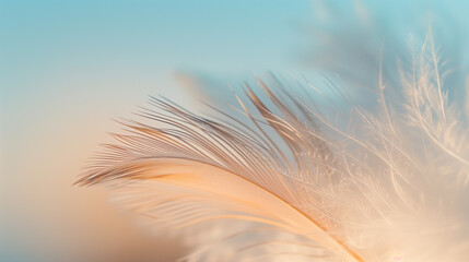white feather blowing in wind, colorful blurry pastel background