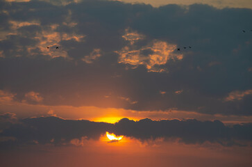 Sunrise, magnificent sunrise with its beautiful colors in winter Brazil, natural light, selective focus.