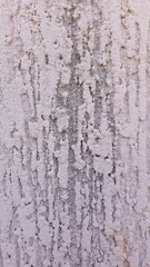 Obraz premium Textura com riscos verticais no cimento cinza em muro.