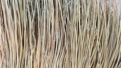 Textura do capim dourado de vassoura de capim.