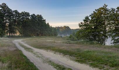 A dirt road winds through a grassy field, lined with trees on either side. A thin layer of morning mist lingers in the distance, creating a peaceful and tranquil atmosphere.