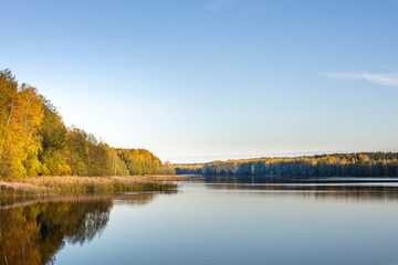 A calm lake with trees in the background