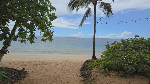 Las Terrenas beach located in the peninsula of Samana, on the North Coast of the Dominican Republic. The region is known as the green lungs of the Caribbeans.