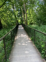 most w środki drzew