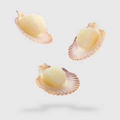Scallops with shells falling on light grey background