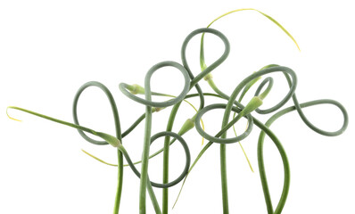 Garlic scape isolated on white background. Green garlic arrows stalks.