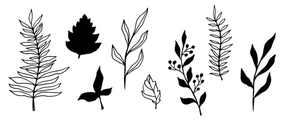 Fototapeta premium vector contour branch and leaves. Elegant branches. black silhouette and outline element with white background, editable. hand drawn monochrome botanical illustration, wedding cards, logo, tattoo.