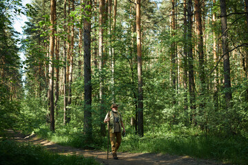 Obraz premium Extreme long shot of mature Caucasian man holding digital tablet and wooden stick walking along road in pine forest, copy space