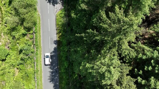 road in a Lancashire forest