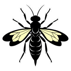 illustration of a wasp