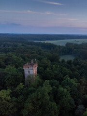 Fototapeta premium ruins of a tower in the forest