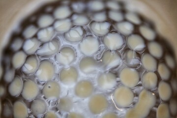 macro shot of a hive-shaped icecube