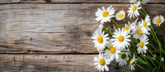 Obraz premium Chamomile flowers displayed in paper on wood background with copy space image.