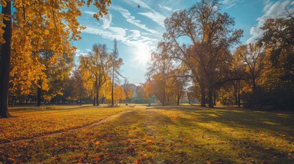 Fototapeta premium Sunny day in the park during autumn