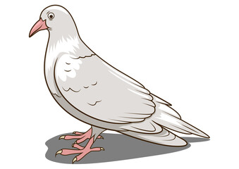 Pigeon learn birds educational game PNG illustration