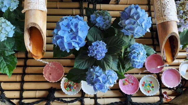 奈良 総本山長谷寺 手水舎の紫陽花