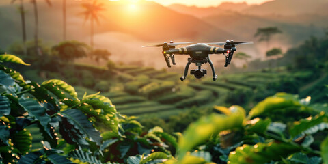 Drone checking and observing coffee trees, Smart technologies in agriculture 