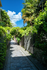 une ruelle fleurie avec ses maisons traditionnelles dans le treizième arrondissement de Paris en France