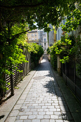 une ruelle fleurie avec ses maisons traditionnelles dans le treizième arrondissement de Paris en France