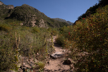 Hiking along the empty footpath across the meadow and hills.