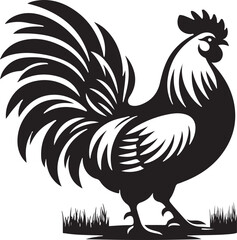 rooster isolated on white background
