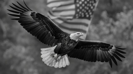 Naklejka premium Bald eagle and American flag