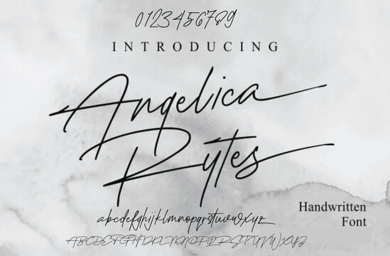 Signature Font Calligraphy Logotype Script Brush Font Type Font lettering handwritten