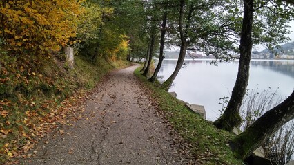 path in the woods