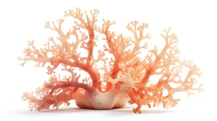3. Produce an accurate and captivating depiction of coral, highlighting its full body and natural beauty, free from distractions such as text or logos, ideal for a pristine white background.