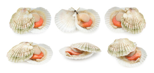 Fresh scallops isolated on white, set. Seafood