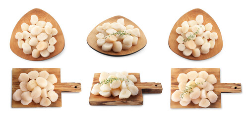 Set of fresh scallops isolated on white, top and side views