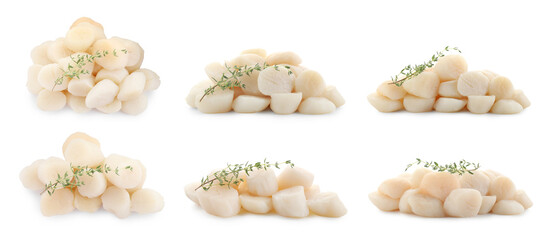 Set of fresh scallops isolated on white, top and side views