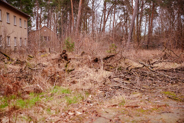 Abandoned field with dry grass, fallen branches and old buildings. Nature's resilience and ability to reclaim spaces left unattended by humans, economic downturn and consequences of industrial decline