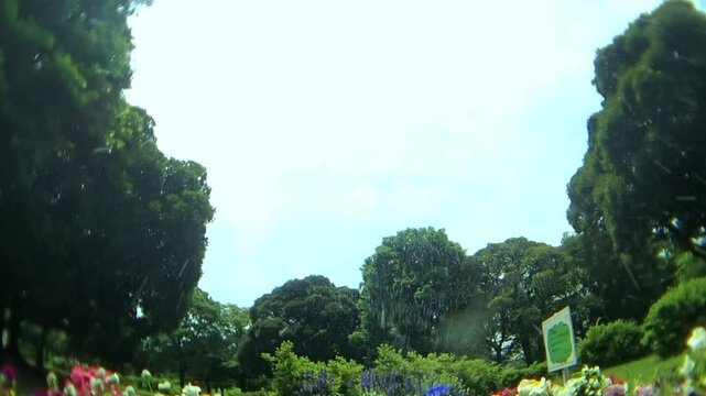 散水花壇4