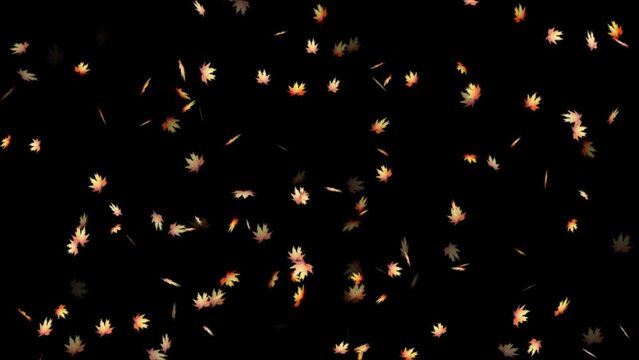 Falling autumn leaves backgrounds,
Falling autumn maple leaves realistic.3D rendering.
Maple Leaf falls animation. Autumn maple leaves fall in the background.
falling autumn leaves Alpha Channel