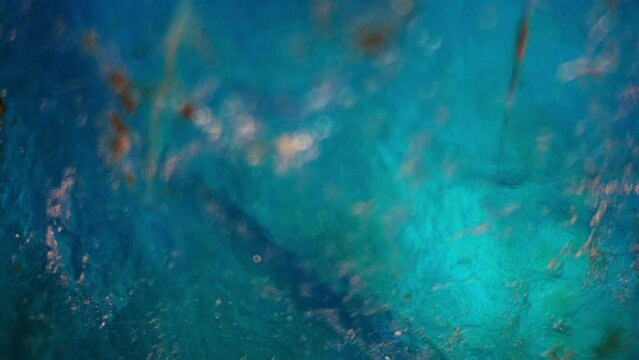 Fossil Examination. Detailed study of ancient remains under microscope. Exploring geologic processes, past and future, and Earth internal workings. Ideal for educational videos and scientific research