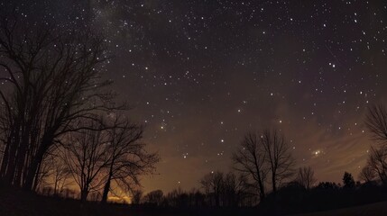 Naklejka premium starry night without light pollution
